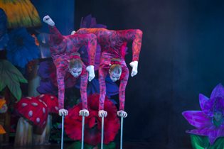 Новогоднее волшебство: цирковой мюзикл «Алиса»