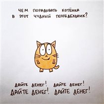 Котики