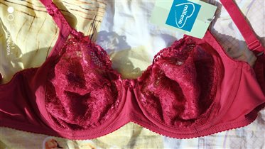 Бюст Милена