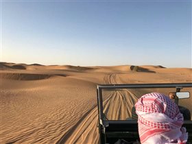 Дубай, сафари в пустыне: соколиная охота и верблюд на ужин