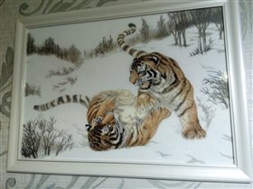 Игривые тигры