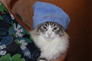 Семён Семёнович