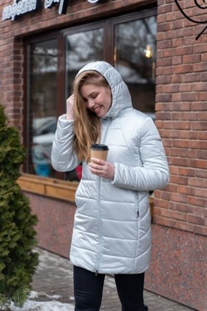 Куртка женская зимняя 11021 Silver