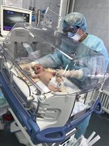 Главврач московского роддома: 'Один малыш и одна беременная в реанимации с пневмонией'