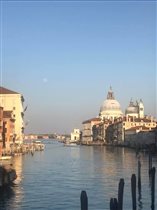 Коронавирус в Венеции: с площади Сан-Марко пропали голуби