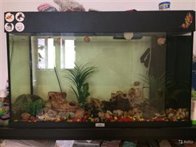 Аквариум, 1500р