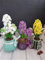 Белый 2500, фиолет. 2500