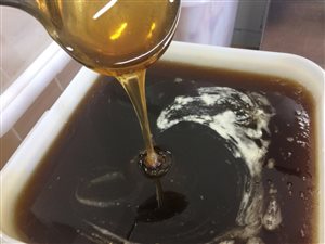 Гречишный мёд от 05.08.21 г