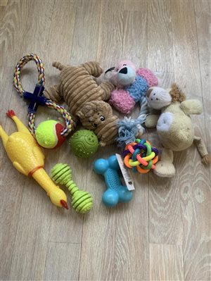 игрушки для собаки, 1000р