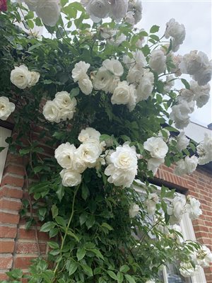 Hoofddorp, The Netherlands