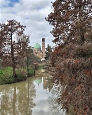 Tронко Mаэстро