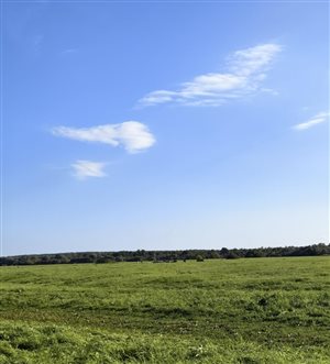 Безмятежность вечности